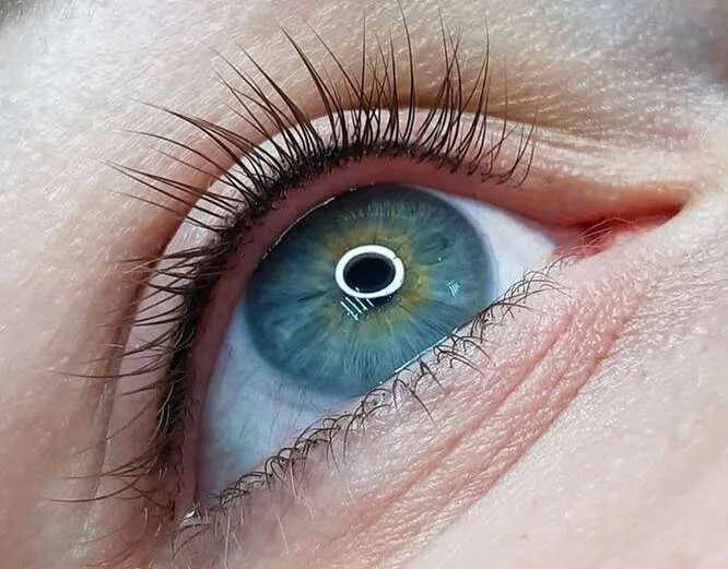 Lash enhancement treatment — close-up macro of defined lash line